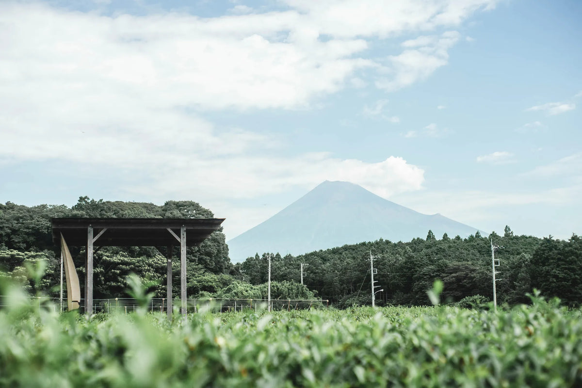 Muica Tea Bag Set (Mood Off)