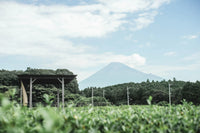 Muica Tea Bag Set (Mood Off)